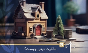 مالکیت تبعی
