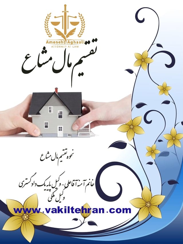 تقسیم مال مشاع