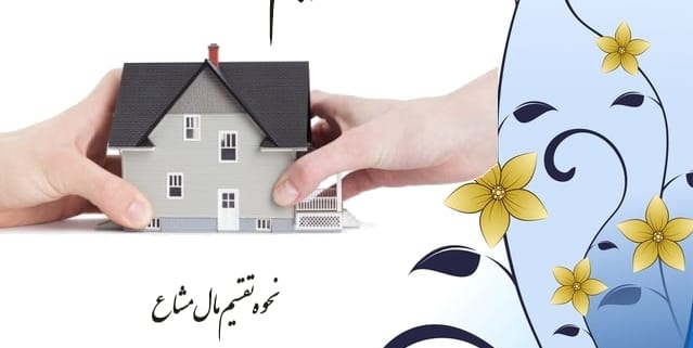 تقسیم مال مشاع